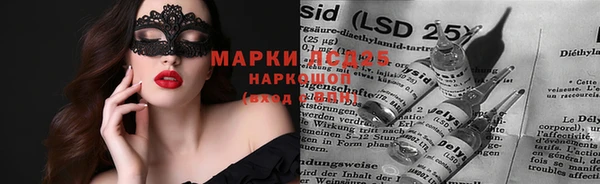 крисы Аркадак