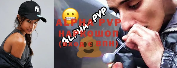 хмурый Арсеньев
