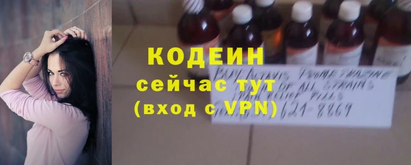 хмурый Арсеньев