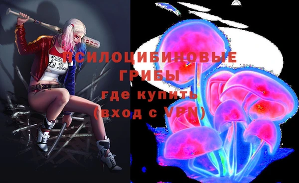 круглые Армянск