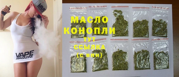 хмурый Арсеньев